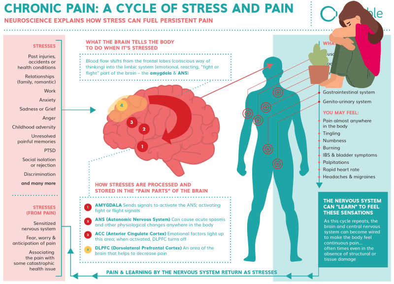 스트레스-통증 악순환 고리