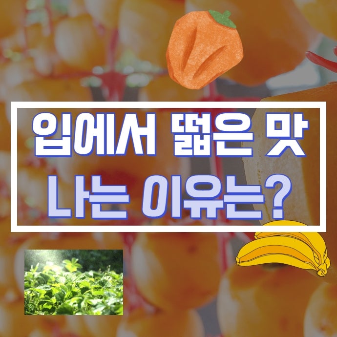 입에서 떫은 맛이 나는 이유