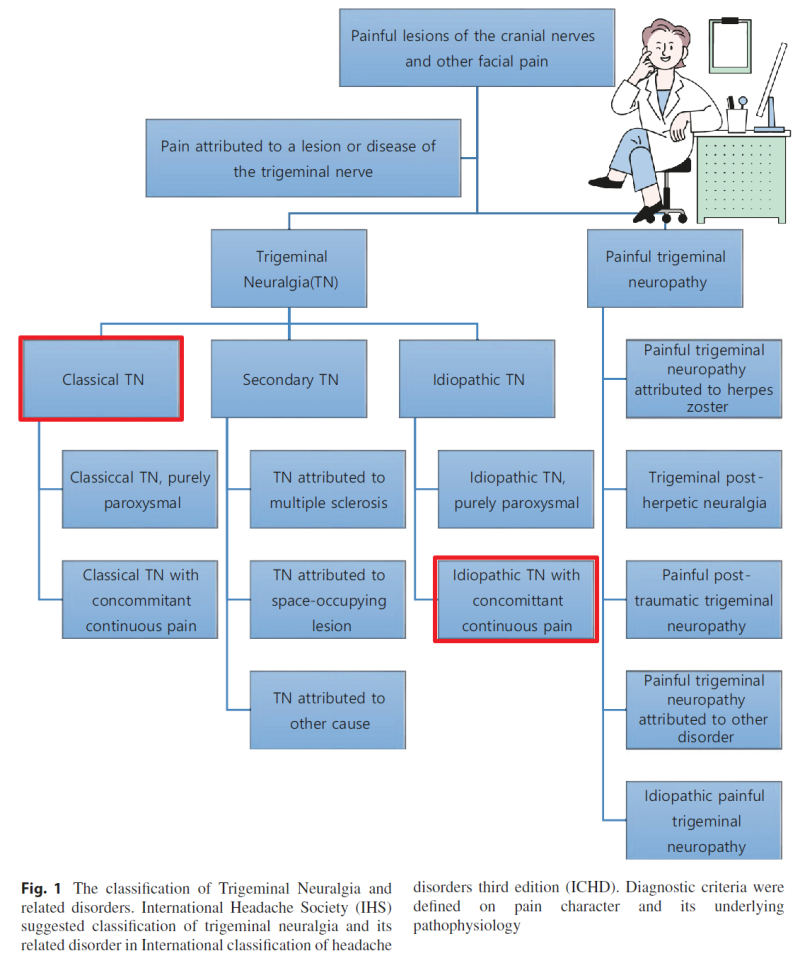 입천장 신경 분포