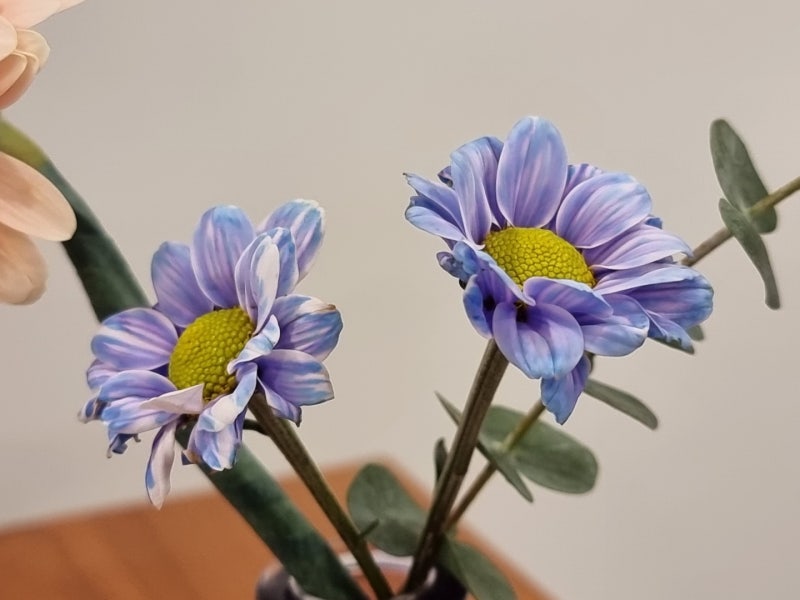 혀 통증과 심리 상태