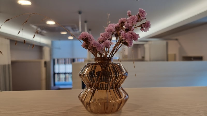 구강 신체화 장애 분류