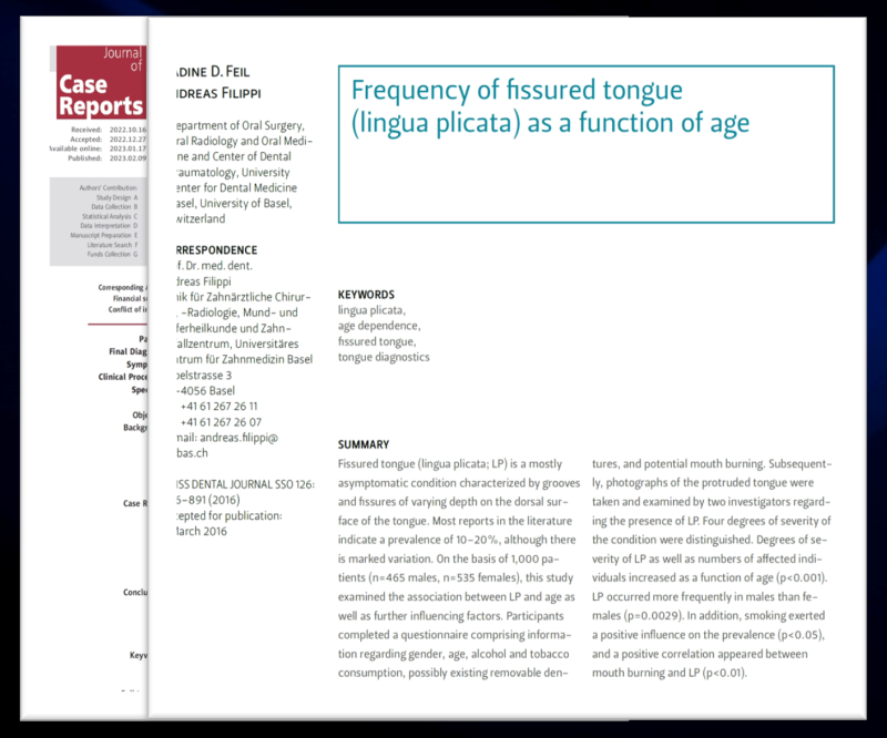 균열설 등급 분류
