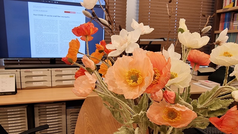 혀통증과 빈혈의 관계