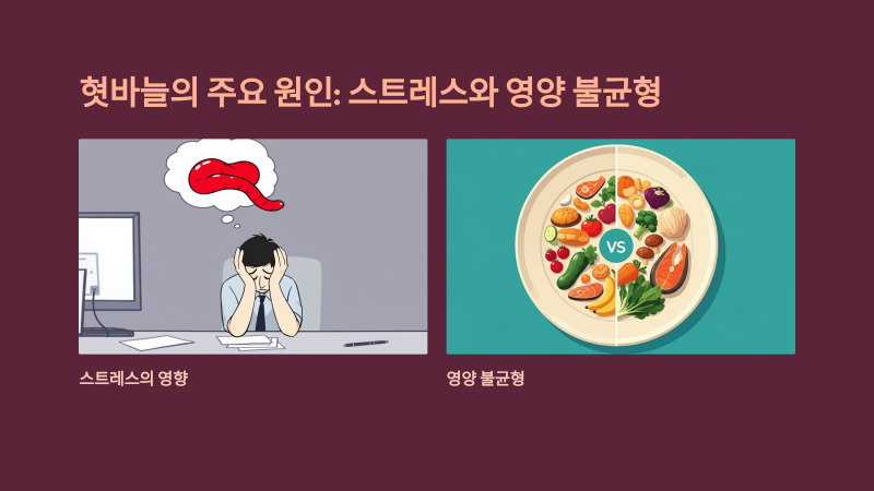 감별 진단 포인트