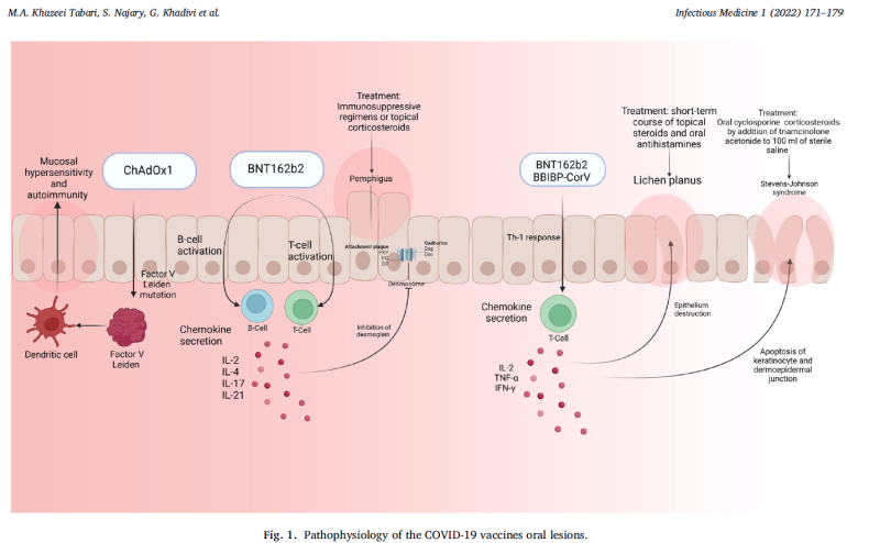 백신과 면역반응 메커니즘