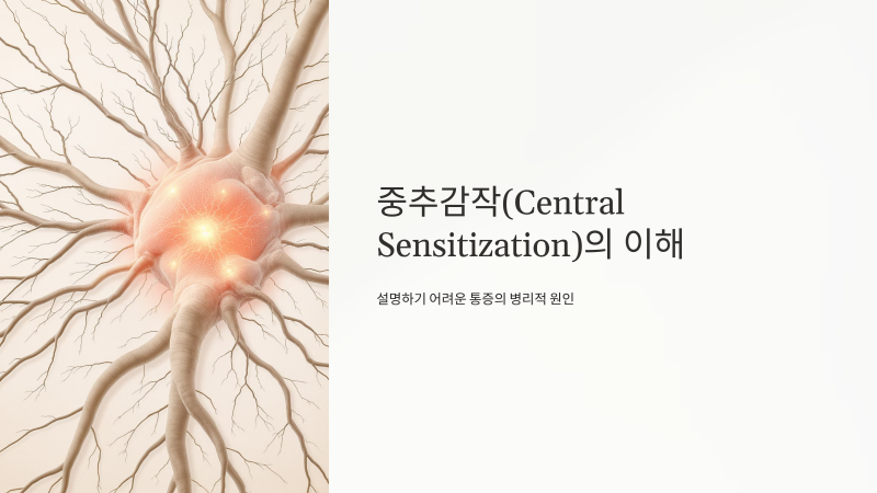 중추 감작 설문(CSI), 내 통증이 '진짜'인지 확인하는 25가지 질문