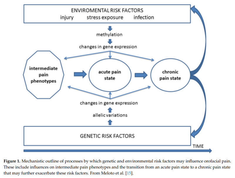 삼차신경통과 삼차 신경병증 비교