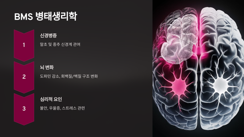BMS의 세 가지 병리 기전