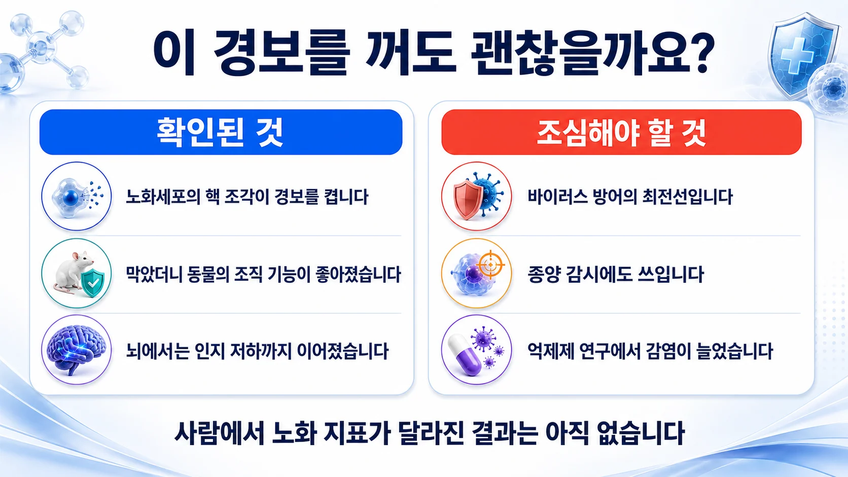cGAS-STING 경로에 대해 확인된 것과 조심할 것을 두 칸으로 정리한 그림