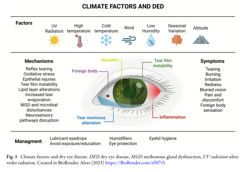 논문 요약 인포그래픽