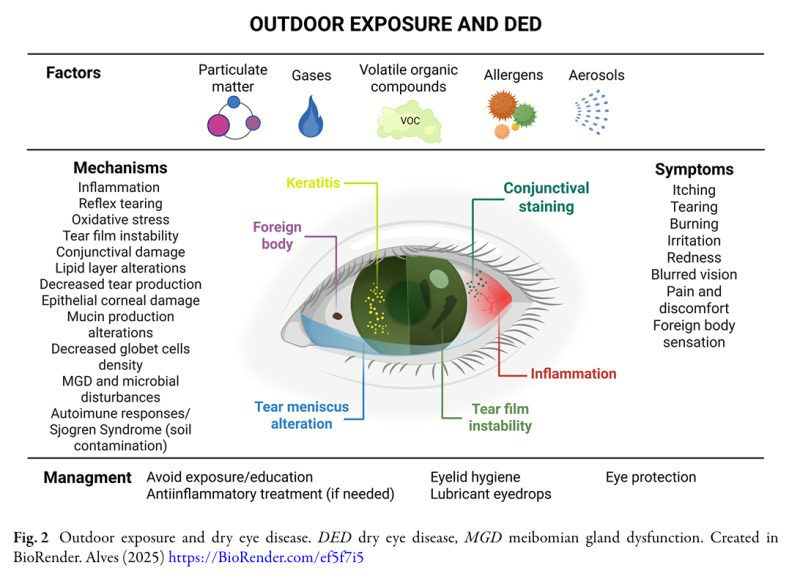 습도와 안구건조증의 관계