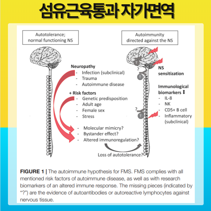 소신경섬유 병증 연구