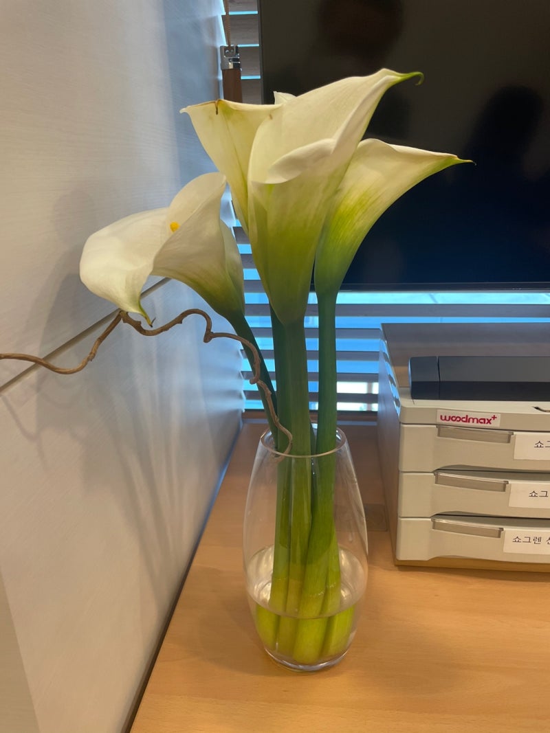 신경염증과 미세아교세포 활성화