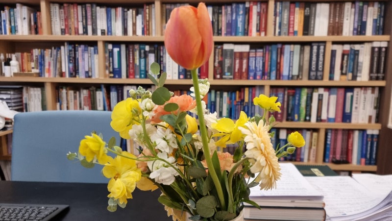 중추 감작 증후군 관련 질환