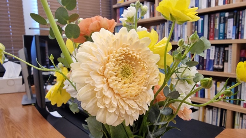 관련 질환 관리 요약