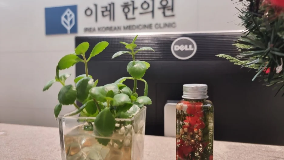 섬유근육통과 우울증의 공통 기전