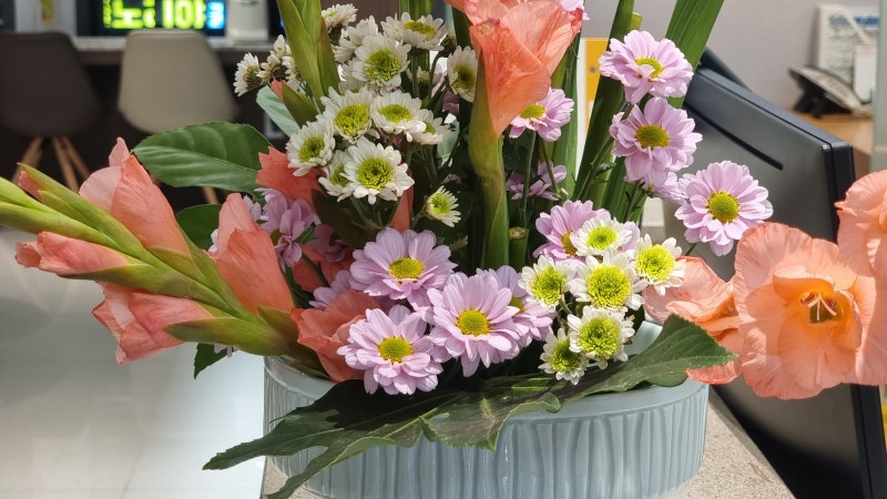 운동의 통증 개선 기전