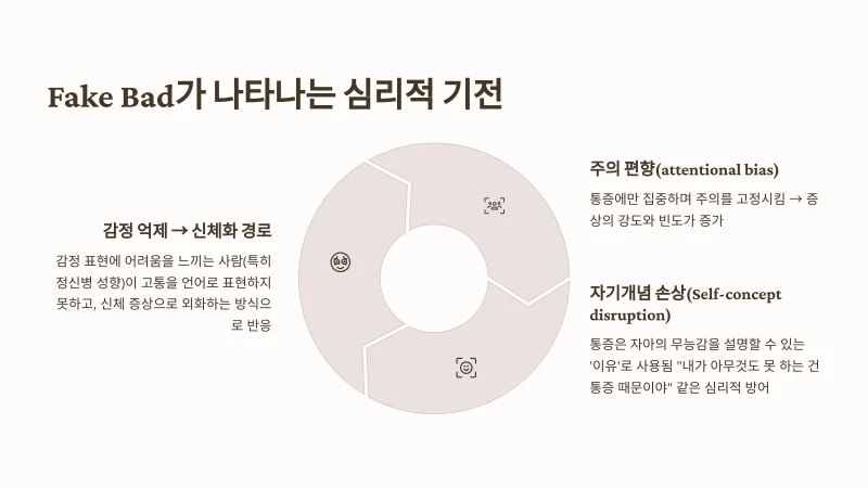 섬유근육통 환자 이해를 위한 가이드