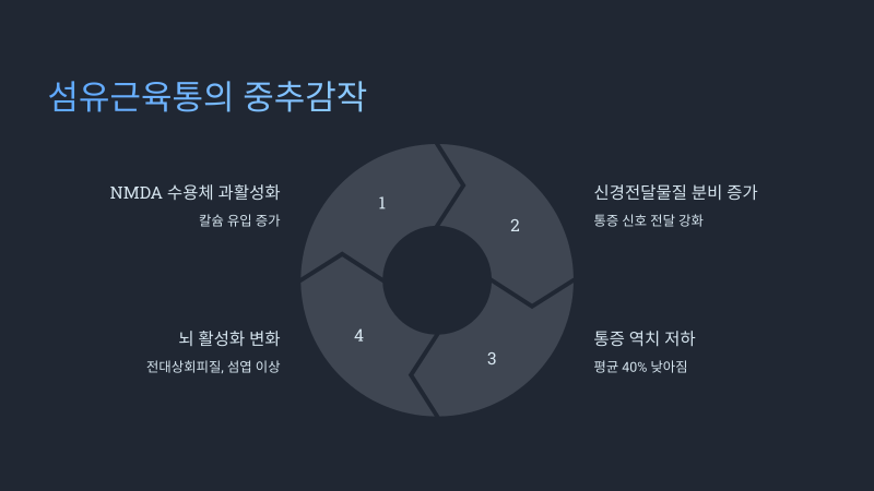 섬유근육통 피로감 메커니즘 비교