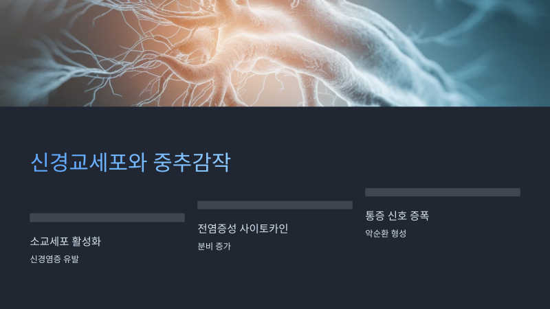 섬유근육통 피로 한의학 접근