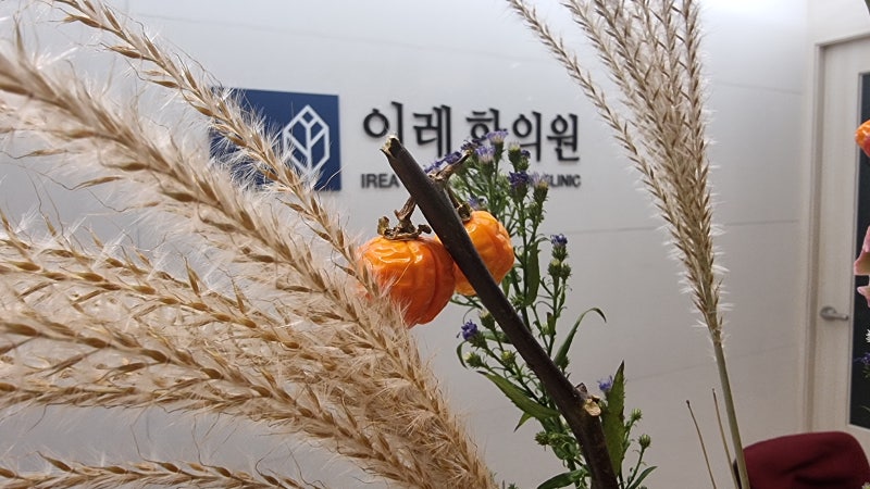 수술 후 관리 요약