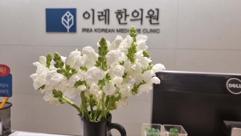 섬유근육통 갱년기 증상 비교