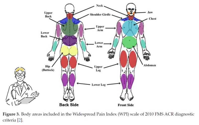신경전달물질 이상과 통증