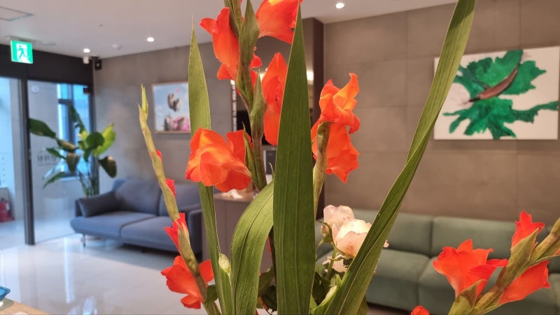 1990년 진단 기준 압통점