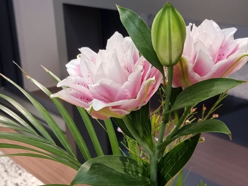 통합 관리의 중요성