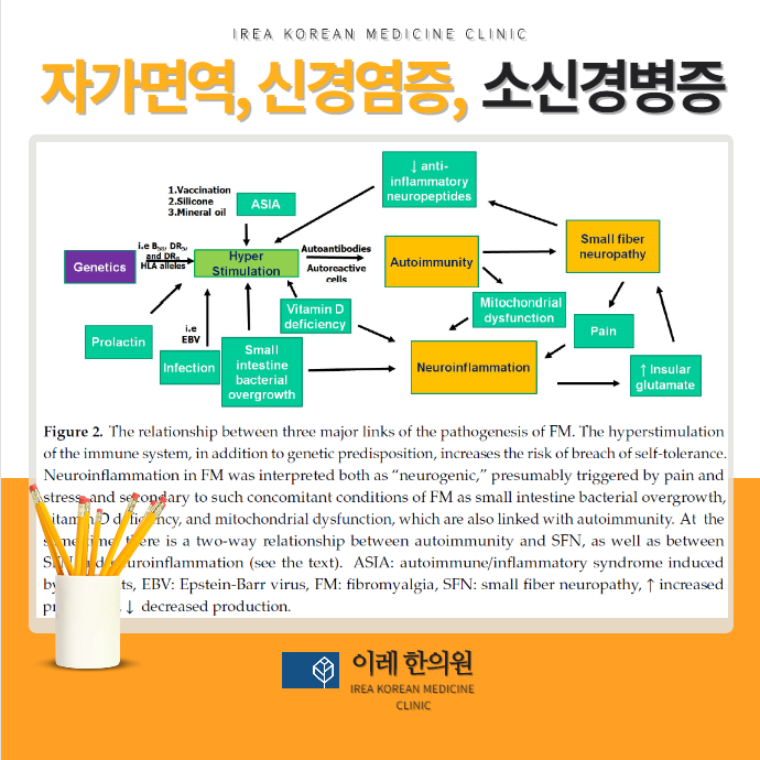신경염증 기전 연구