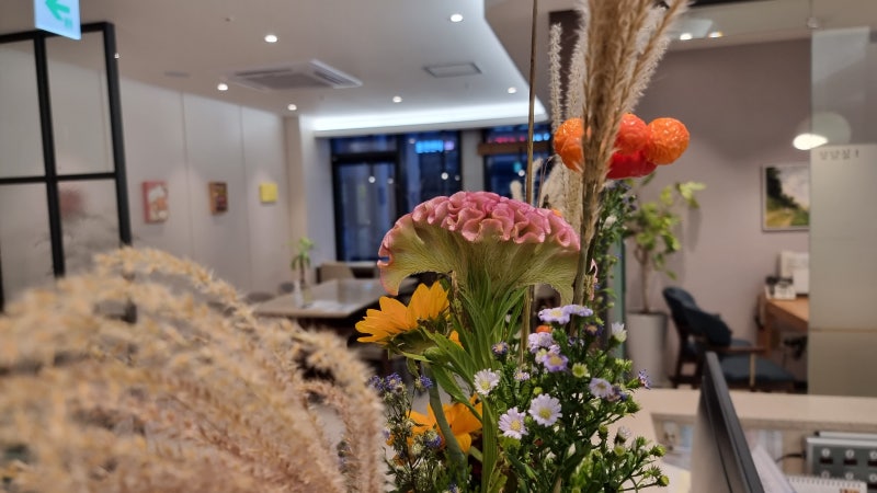 중추 감작 과정 도식