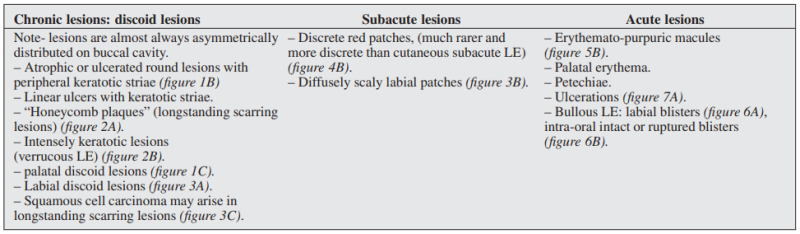 루푸스 구강 병변 분류