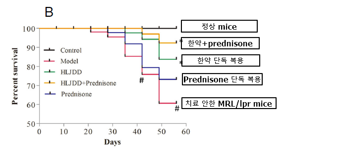 루푸스 신염 생존율 비교