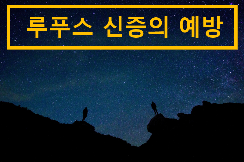 루푸스 신증의 개요