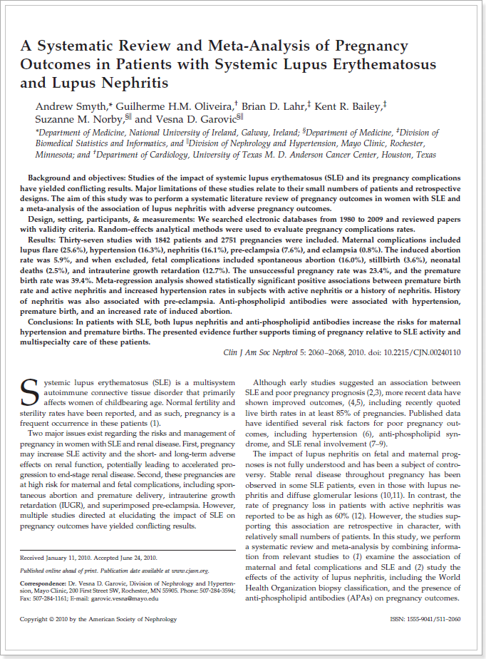 루푸스 여성의 임신 연구