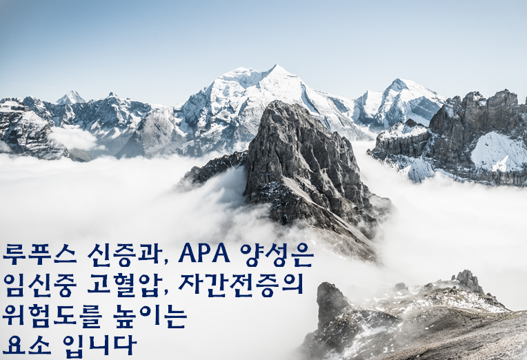 임신 결과 분석