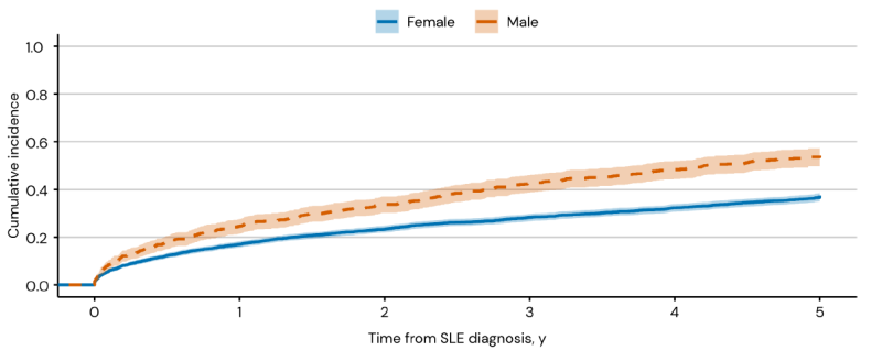 루푸스 12가지 장기 손상 영역