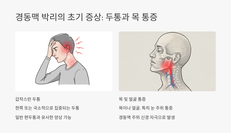 SLE와 경동맥 박리 연구 결과