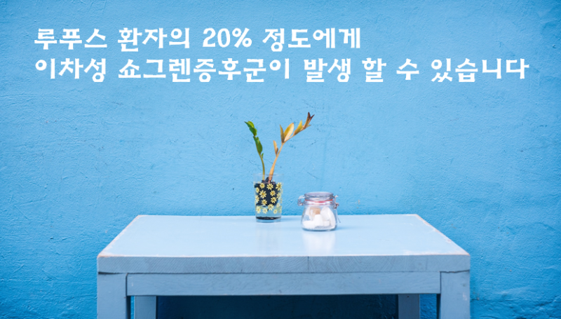 루푸스 환자의 건조증 연구 개요