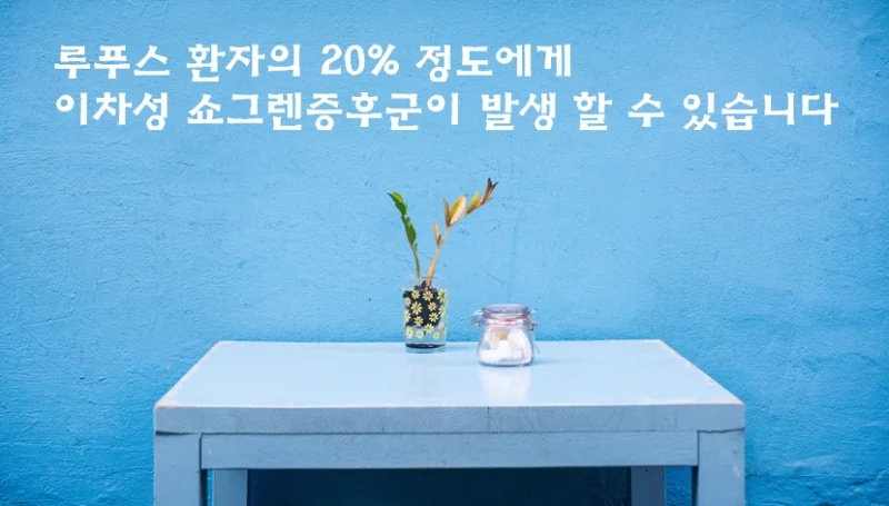 루푸스 환자의 건조증 연구 개요