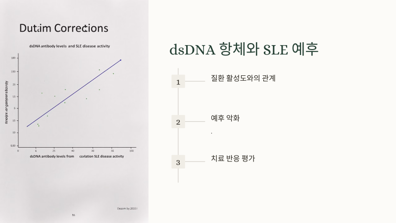 dsDNA 양성 관련 질환