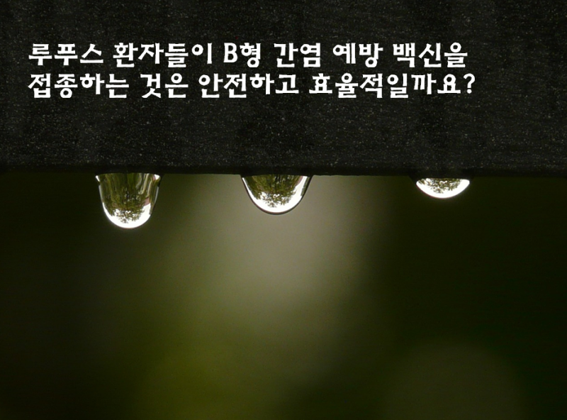 루푸스 환자, B형간염 예방접종 받아도 될까요? — EULAR 권고안과 ASIA 증후군까지