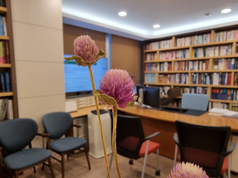 전신홍반루푸스 진단, 2019 EULAR/ACR 기준은 어떻게 달라졌나요?