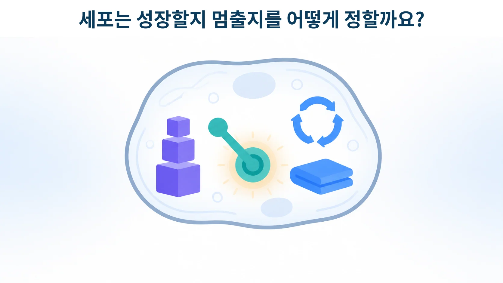 세포 안에서 성장 쪽과 정리 쪽으로 갈라지는 스위치를 형상화한 개념 그림