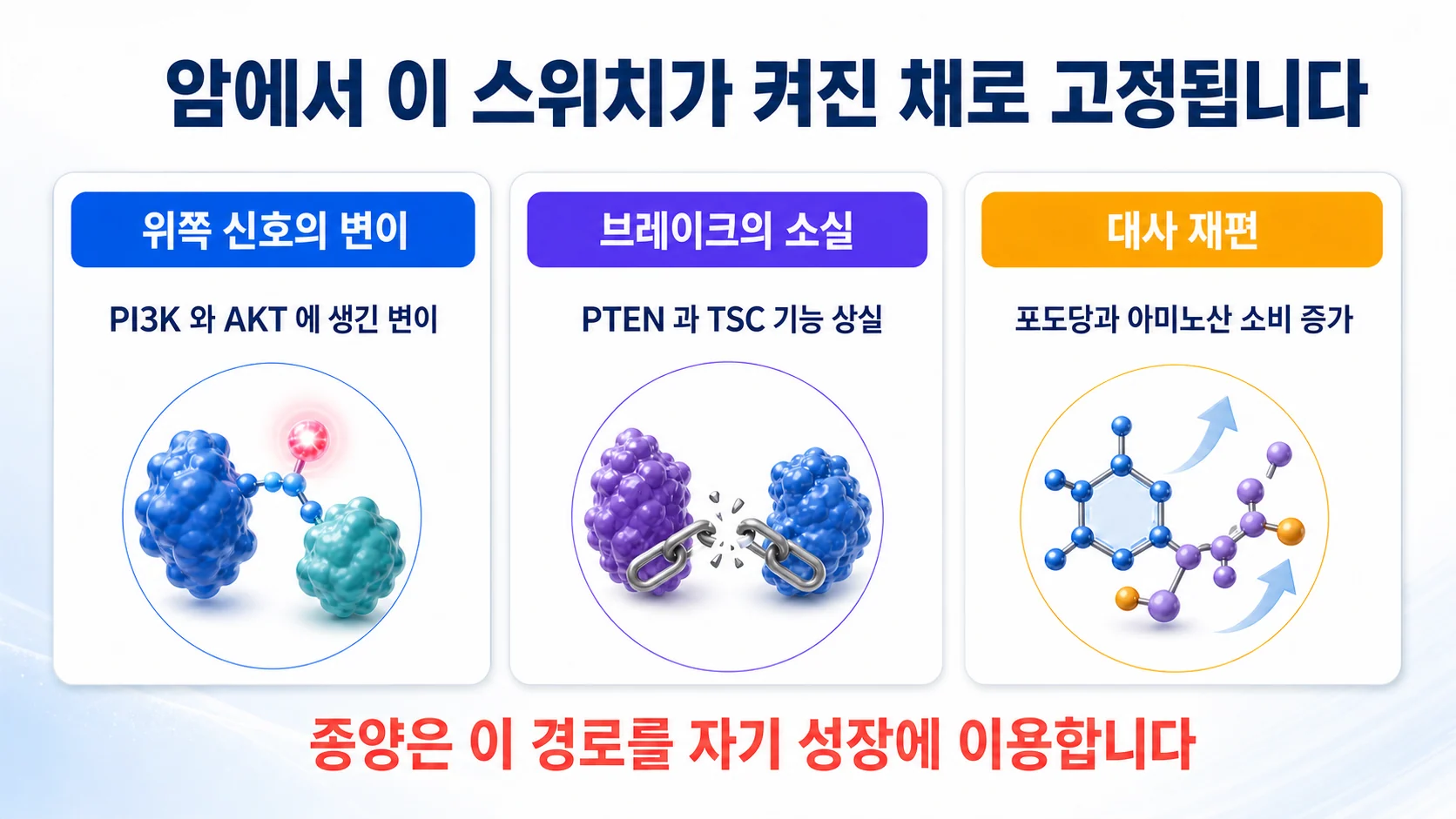 암에서 mTOR 경로가 과활성되는 세 가지 원인을 정리한 그림