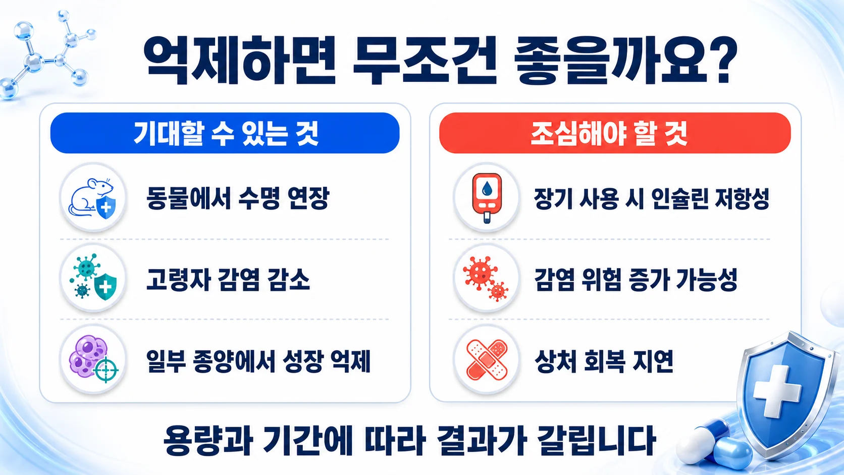 mTOR를 억제할 때 기대할 수 있는 것과 조심해야 할 것을 두 칸으로 나누어 정리한 그림