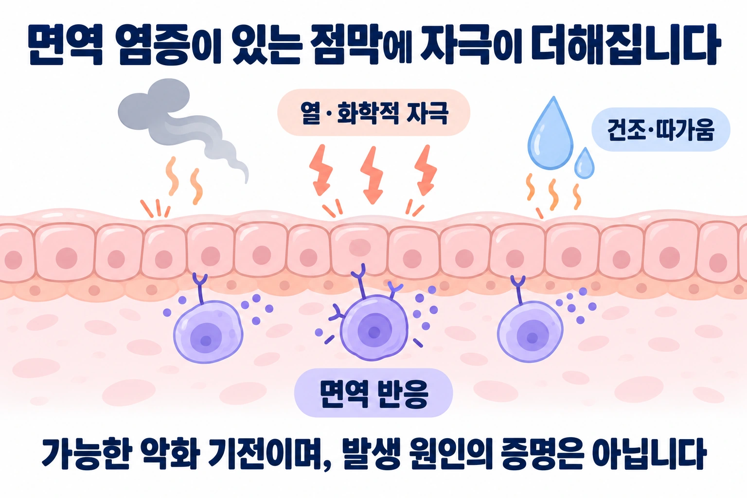 면역 반응으로 민감해진 구강 점막에 연기의 열과 화학적 자극이 더해질 수 있음을 표현한 모식도