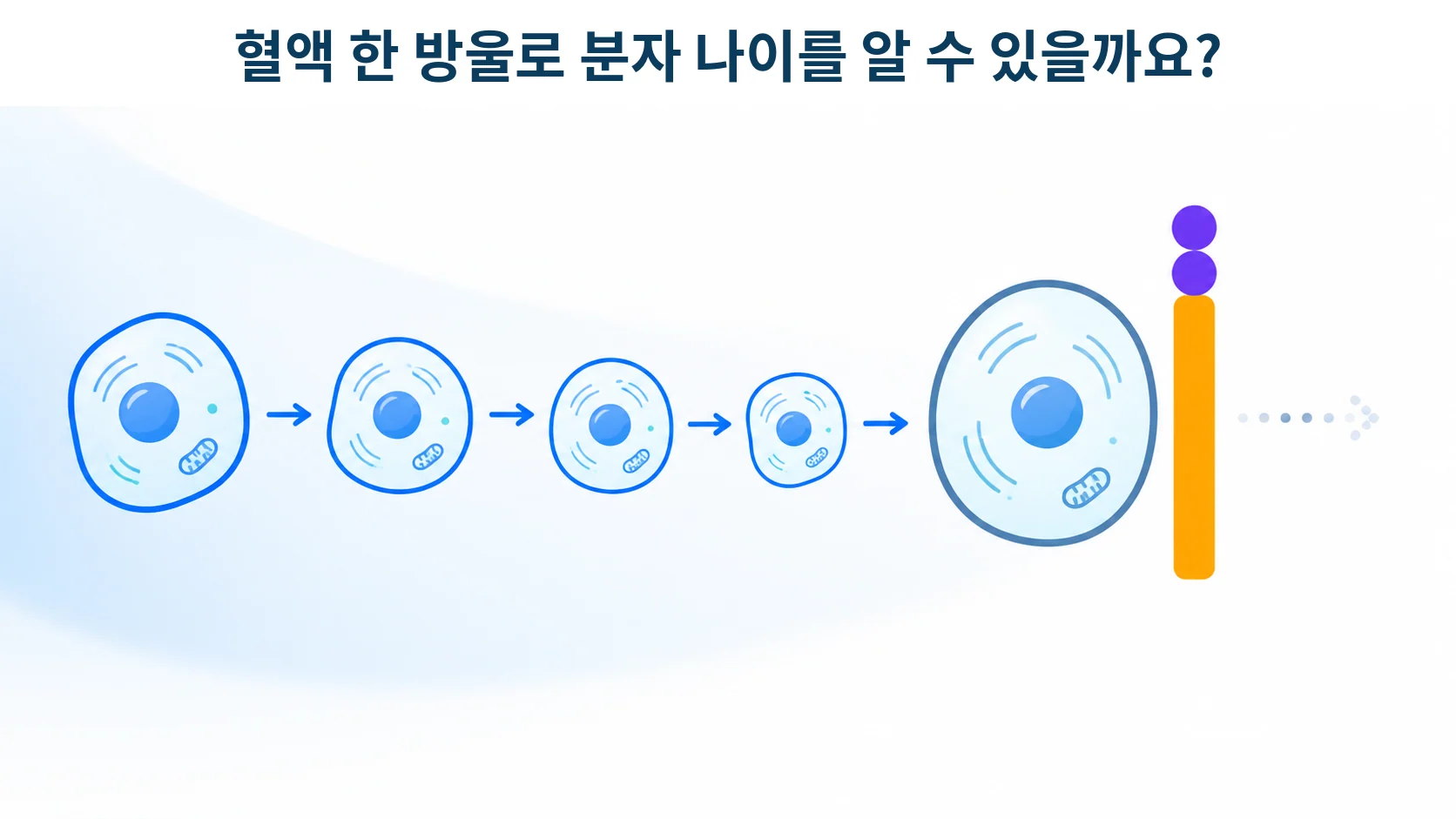 세포 안의 브레이크가 걸려 분열이 멈춘 상태를 형상화한 개념 그림