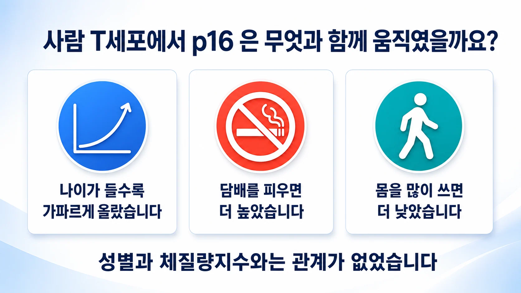 사람 T세포의 p16 발현이 나이와 생활습관에 따라 달라진 관계를 정리한 그림