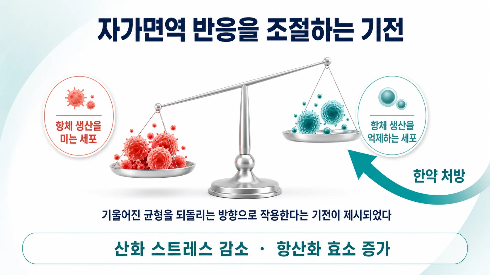 자가면역 반응을 조절하는 기전 연구